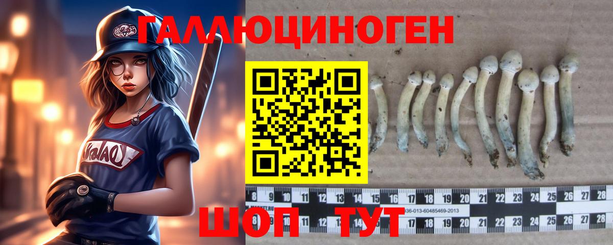 Гусь-Хрустальный  Галлюциногенные грибы MAGIC MUSHROOMS  Галлюциногенные грибы ЛСД  Вход с VPN 