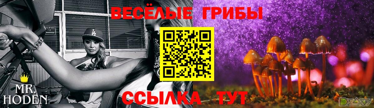 Галлюциногенные грибы Cubensis Гусь-Хрустальный